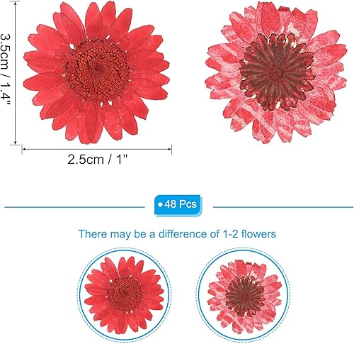 PATIKIL 48 Pcs Fleurs Séchées Pressées Naturelles Marguerite pour l'Artisanat DIY Décoration Maison Décoration Ongles, Rouge foncé - Nail Gallerys