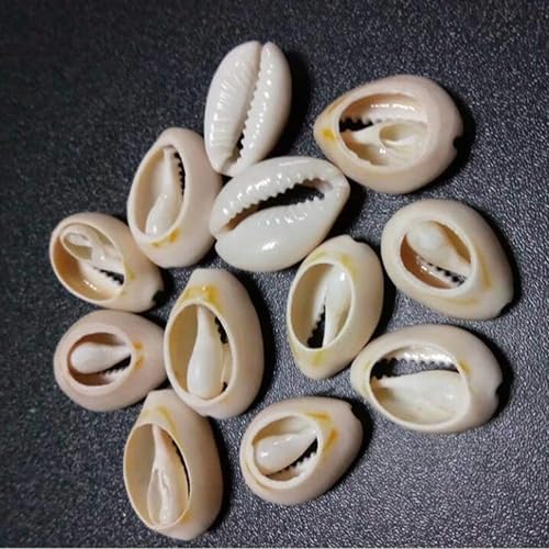 SUPVOX 50pcs Cauris Seashell Perles Artisanat Coquillage Nautique Charms pour Artisanat Fabrication De Bijoux Aquarium Fish Tank Décorations Vase Filtre Nautique Plage Home Decor ( Taille) - Nail Gallerys