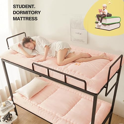 PEKMAR Matelas de Sol Tatami Simple épais futon Japonais Matelas de Couchage Portable Enroulable Matelas Pliable pour garçons Filles Matelas de dortoir étudiant Adulte,Gris,90x190cm - Nail Gallerys