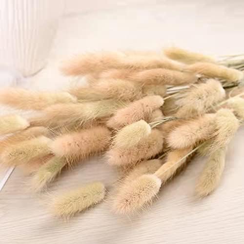 30 Pièces Lapin Queue Herbe Bouquets Fleurs Séchées pour Chambre à Coucher Intérieur la Décoration de la Maison de Mariage - Nail Gallerys