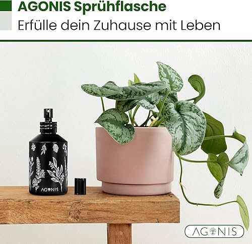 AGONIS® Flacon pulvérisateur pour plantes d'intérieur saines : design moderne en verre et métal | Soutient la photosynthèse et l'humidité de l'air - Nail Gallerys