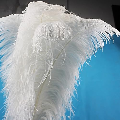RESOYE Plumes blanches naturelles, lot de 10 plumes d'autruche de 30,5 à 35,6 cm, pour décoration de table de mariage, de vacances, de maison - Nail Gallerys