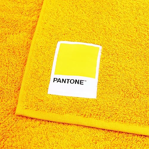 PANTONE™ – Serviettes de bain pour visage et bidet en éponge pur coton 100 % certifié OEKO-TEX, set de serviettes de bain pour visage et invité 50 x 100 cm et 40 x 50 serviettes hygiéniques souples - Nail Gallerys
