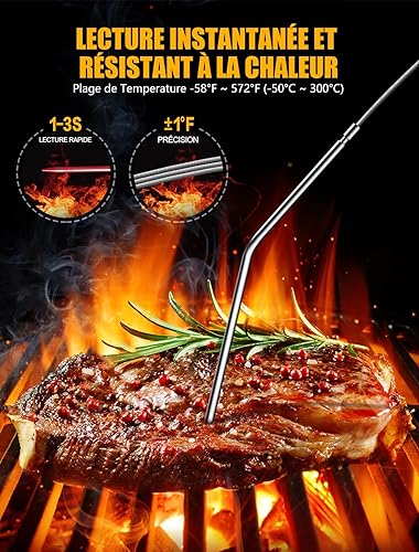 CIRYCASE Thermomètre Cuisine avec Sondes Doubles 16.3cm, Minuteur et Température Préréglée Thermometre Cuisson Numérique Lecture Instantané avec Écran LCD & Auto-Arrêt pour Barbecue/Fumoir/Grill/Four - Nail Gallerys