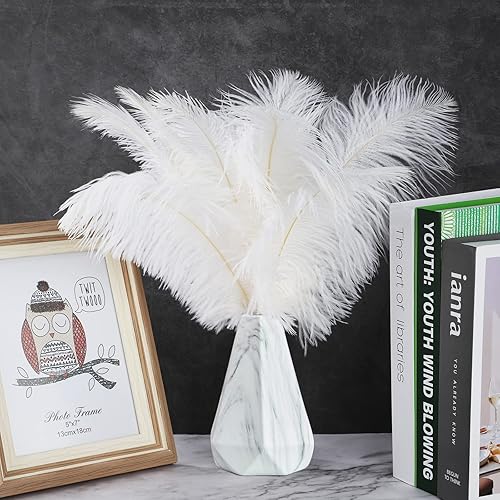 HYLYING Lot de 20 plumes d'autruche blanches de 40 à 45 cm - Plumes d'autruche naturelles pour mariage, fête, décoration d'intérieur, bricolage 61257839-9918-0959477891 - Nail Gallerys