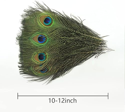 THARAHT 12 pièces Plumes de Paon Naturel en Vrac 10-12 Pouces 25-30cm Petit Oeil Artisanat Vase Mariage Home Party décoration de Noël Plumes de Paon - Nail Gallerys