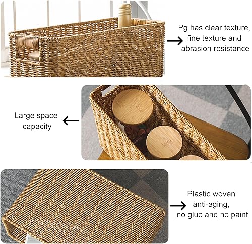Lamppdcor Panier de Rangement en Osier Panier de Magazine 15x10.2x5.9 Rack Magazine rotin tissé avec poignées Rangement rectangulaire pour journaux Bouteilles - Nail Gallerys