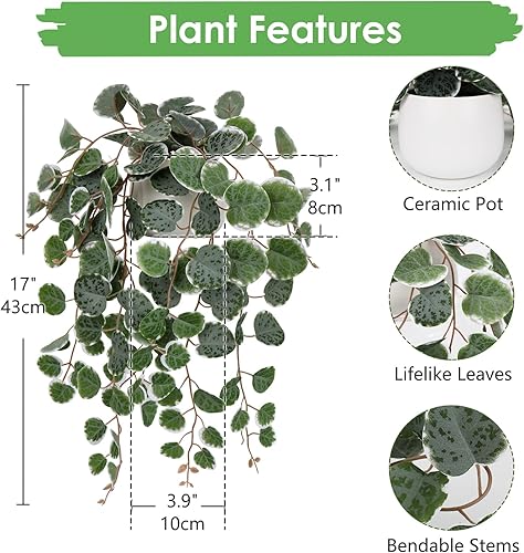 Hollyone Plantes artificielles rampantes décoratives en pot, guirlande de cœurs plantes d'intérieur et d'extérieur, fausses plantes rampantes pour la maison, le mur, le salon, la chambre à coucher, le - Nail Gallerys