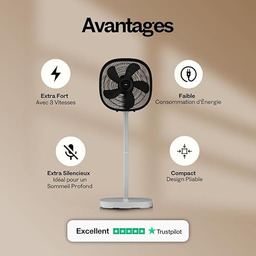Dynter. Ventilateur sur Pied Silencieux AV25-G – Oscillant & Pliable – Hauteur Réglable 80–125 cm – Grand Débit d’air Ø 46,5 cm – Idéal Voyage & Chambre – Design Compact (Gris/Argent) - Nail Gallerys