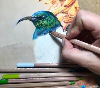 Caran D'Ache Extra Fin Crayons Pastel Sec ***** Black 009 - Nail Gallerys