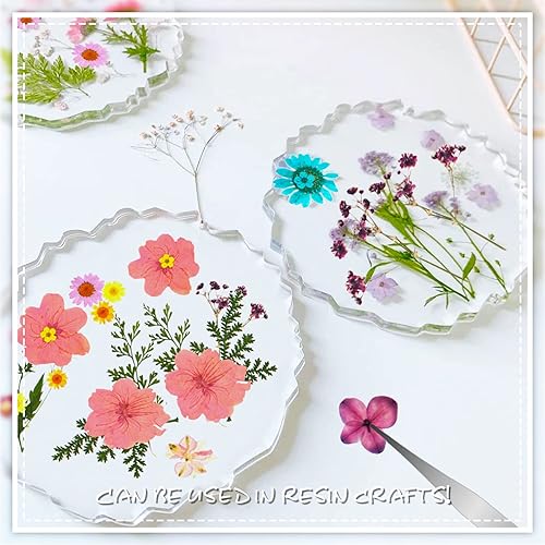 62 Pcs Ensemble de Fleurs Séchées Pressées Vraies Fleurs Séchées Naturelles Multicolores Feuilles Séchées Mélangées pour Bougie Résine Maquillage Bricolage Artisanat avec Autocollants Papillons - Nail Gallerys