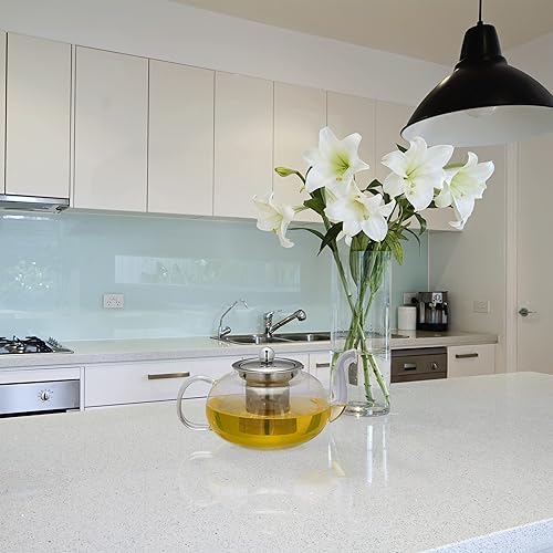 Relaxdays Théière avec Filtre, 800 ML, Verre Borosilicate, Acier Inoxydable, Carafe pour thé Vrac, Transparent/argenté - Nail Gallerys