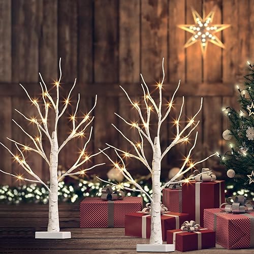 Lot de 2 branches lumineuses Eambrite 24 LED blanc chaud - Sapin - Branches de bouleau - Fonctionnement à piles - Décoration de Noël pour la maison, les fêtes, les anniversaires, les mariages - Nail Gallerys