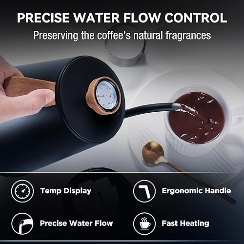 DmofwHi Bouilloire Électrique à Col de Cygne 1L, 1000W Inox Théière Électrique avec Arrêt Automatique, Chauffage Rapide, Base Pivotante à 360º, Pour Café et Thé, Noir - Nail Gallerys