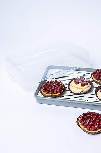 BranQ - Home essential Récipient à gâteau rectangulaire en plastique (PP), avec couvercle haut, poignée de transport pratique et récipient à gelée, sans BPA, transparent/gris - Nail Gallerys