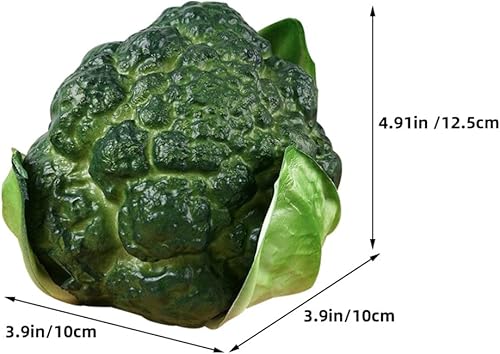 Modèle De Brocoli Artificiel Simulation Légume Réaliste pour Vitrine Restaurant Fête - Nail Gallerys
