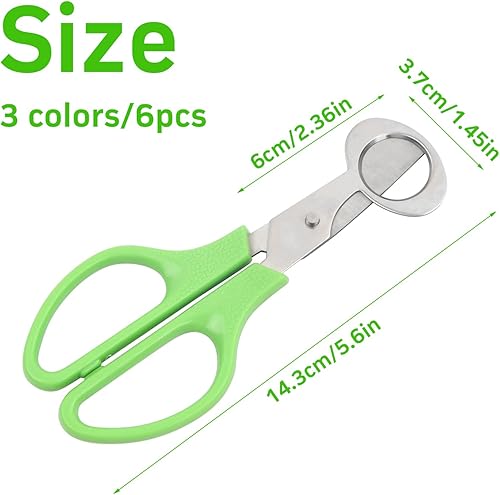 Wisebom Lot de 6 ciseaux à œufs de caille en acier inoxydable - Ciseaux à œufs de caille - Petits ciseaux à œufs de caille - Pour la maison, la cuisine, le restaurant - Nail Gallerys