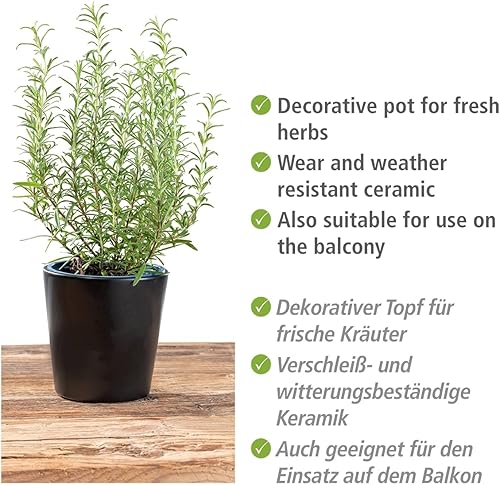 WENKO Pot à herbes noir, récipient Black Outdoor Kitchen pour herbes aromatiques, céramique haute qualité, boîte décorative pour poser les herbes sur la table ou à côté du grill, ∅ 13 x 13 cm, noir - Nail Gallerys