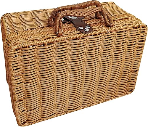 RSTYS Valise en rotin tissé, valise en osier rétro, boîte de rangement en rotin artificiel, panier de rangement tissé, poubelle de maquillage, sangle aspect cuir synthétique pour étagère - Nail Gallerys
