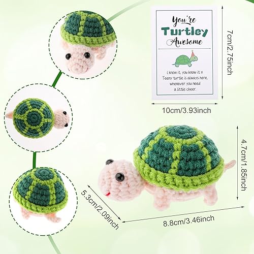 Crochet Positif,Tortue Positive,Kit Crochet Avec Carte Encourageante Crochets Kit,Jouet Soutien Émotionnel Amusant Au Crochets pour Petite Amie et Enfants pour Anniversaire,Noël,Calendrier de l'Avent - Nail Gallerys