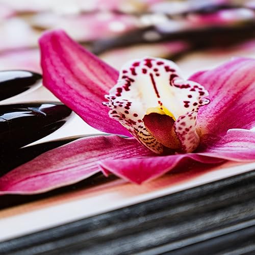 Cer-Plast Armoire à clés murale en bois avec porte-clés, style vintage, SKD-F34SR, Argenté - Nail Gallerys