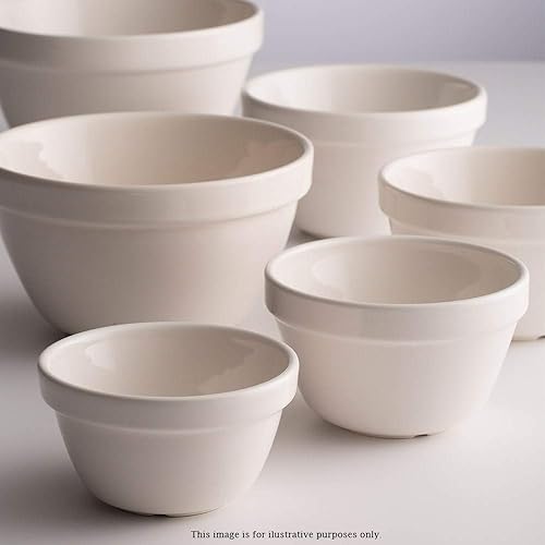 Mason Cash Bassine à pudding tout usage en faïence Blanc 22 cm - Nail Gallerys