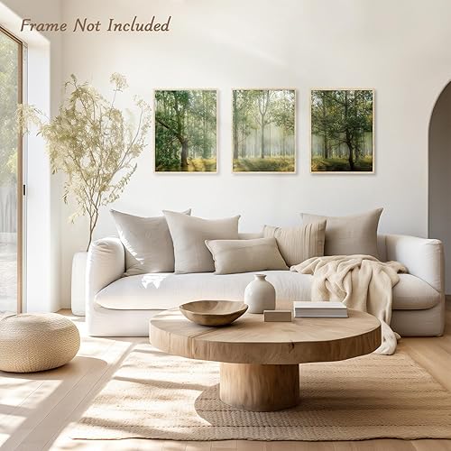 NymphFable Affiche Décorative Murale Forêt Nature, Poster Mural en Toile de Paysage d'Arbre Vert pour Décoration de Chambre à Vivre 12x16 in Set de 3 Non Encadrés - Nail Gallerys