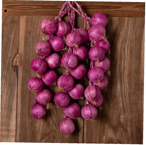 PiniceCore Artificiel Oignon Brochettes Simulation De Fruits Légumes Hanging Ornement Mur Légumes Mur Décoration Photographie Props Végétales - Nail Gallerys