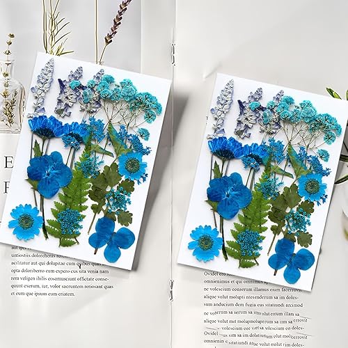 FMYODWU 1 paquet Fleurs Séchées, 18 Pièces Fleurs Sechees Naturelles Fleur Séchée pour Bougies Fleurs Sechees Fleurs Séchées Vrac Fleur Sechees Decoration pour Bricolage Résine Epoxyn Art - Nail Gallerys