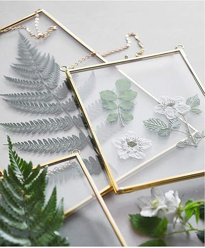 25x20 cm Cadres Photo Cuivre Laiton Suspendu Flottant Verre Cadre Photo Or Ornement Géométrique Spécimen D'usine Clip Vertical Décor Carte Oeuvre Photo Support D'affichage Cadre en Verre Seulement - Nail Gallerys