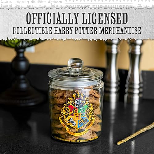 Harry Potter Paladone PP9118HP Poudlard Bocal à biscuits en verre – Accessoire de cuisine – Produit officiel, noir - Nail Gallerys