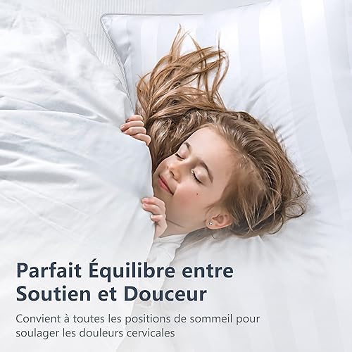 TESQ Oreiller 60x60 cm avec 900g de Remplissage, Lot de 2 Oreillers Confortables et Respirants, Idéal pour Dormeurs sur Le Côté, Le Dos et Le Ventre, Qualité Hôtelière, Lavable - Nail Gallerys