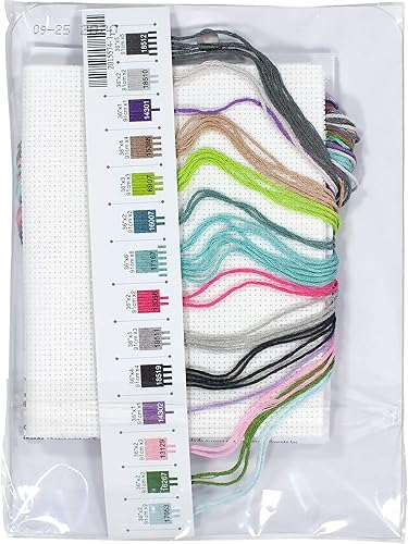 Dimensions Kit de broderie au point de croix compté pour débutants en tissu Aida blanc 17,8 x 12,7 cm - Nail Gallerys