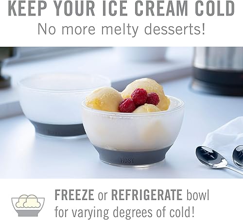 Host - Bol de congélation en Plastique à Double paroi Isotherme pour crème glacée, Accessoire de Cuisine pour Desserts, sauces et céréales, avec Bande en Silicone Confortable, Gris - Nail Gallerys