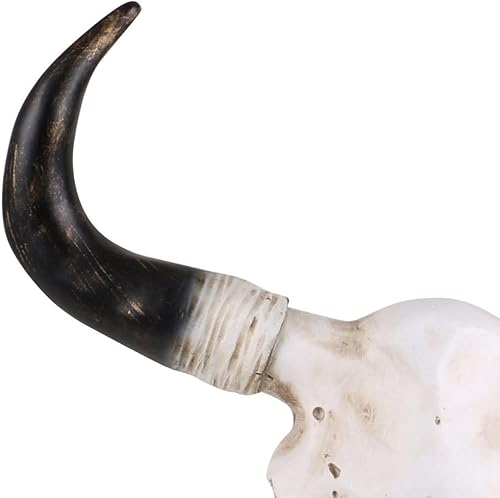 Urban Living Crâne de Vache déco 41 cm - Nail Gallerys