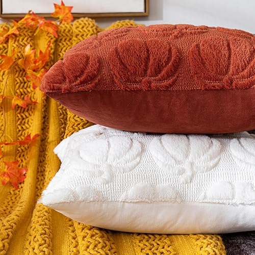 Lonnalee Housse de coussin citrouille - 45 x 45 cm - Housse de coussin d'automne moderne - Décoration d'intérieur - Décoration esthétique d'automne pour Halloween - Nail Gallerys