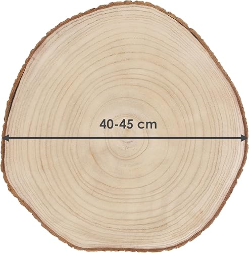 Disque d'arbre en bois naturel - 23-28 cm - Décoration de table en bois véritable - Nail Gallerys