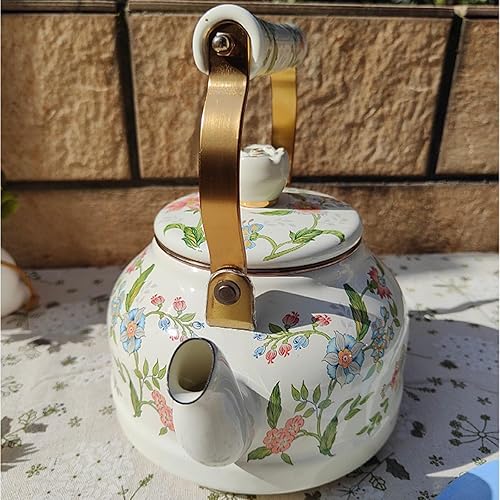 Bouilloire vintage en émail pour cuisinière, jolie théière avec perle en céramique à motif floral rose, cafetière à eau avec poignée en céramique, 2,5 L(A) - Nail Gallerys