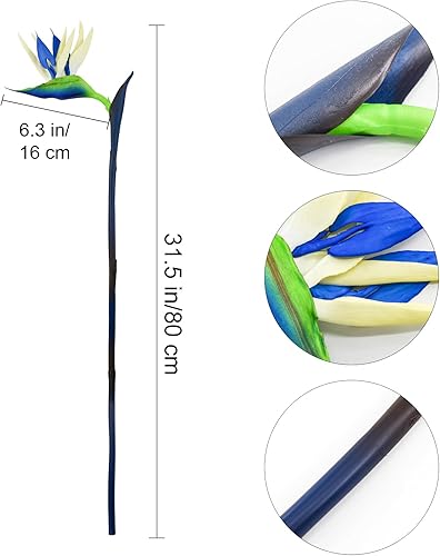 Bacucine Bird of Paradise Lot de 6 plantes artificielles Strelitzia en caoutchouc pour maison, jardin, bureau, décoration de fête de mariage (bleu) - Nail Gallerys
