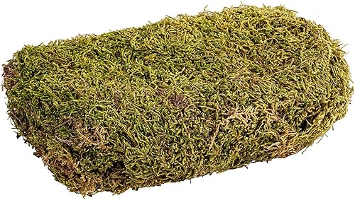 Sac de Mousse MaMeMi, Mousse de crèche/Mousse de décoration pour Le Bricolage et la décoration [Accessoires de crèche, équipement de crèche/Accessoires pour crèches de Noël] - Nail Gallerys