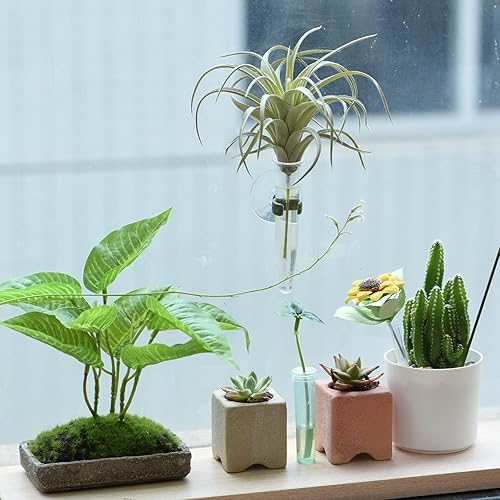 M METERXITY 20 Lot Floral Eau Tube - Fleur Arrengement Plastique Fiole Pointe Forme, Appliquer à Fixe Fleurs (2.76 x 0.31 Pouces, Clair) - Nail Gallerys