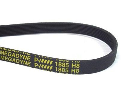 Megadyne - Courroie de sèche-linge 1885 H8 - Nail Gallerys