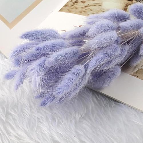 FENGCHUANG Herbe de Queue de Lapin Séchée, Herbe De La Pampa Fleurs Séchées, 50 Pcs Ne Se Fanent Jamais Fleur Sechees pour Décoration de Maison, Mariage (Violet Clair) - Nail Gallerys