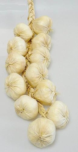 Artif-déco.com - Tresse d'ail Artificielle x10 tetes d ail Blanc L 50 cm - Nail Gallerys