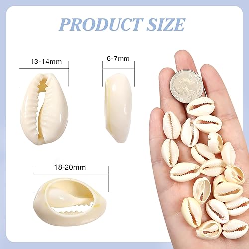 TOAOB 200pcs Shell Perles en Coquillage Charmes Naturel en Cauris Coquilles 12 à 14 mm pour Fabrication de Bijoux Bracelet Collier Accessoires Artisanat Loisirs Créatifs - Nail Gallerys