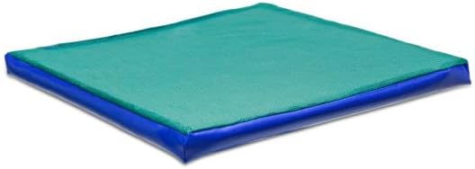 PROS Tapis de désinfection pour chaussures Tapis de désinfection des semelles de chaussures Tapis de sol d'entrée - Nail Gallerys