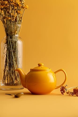 Price & Kensington Théière anglaise pour 2 tasses, en faïence de qualité supérieure, en jaune moutarde brillant, passe au micro-ondes et au lave-vaisselle, théière vintage - Nail Gallerys