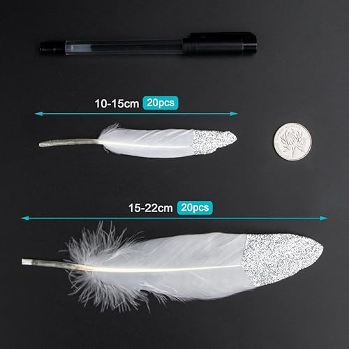 Vidillo Plumes Colorées, 40pcs Argent Blanc trempé Plume Décoration, Idéal pour Costumes, Chapeaux, Décoration d'intérieur Fete Mariage Anniversaire, Multicolore(Argent) - Nail Gallerys