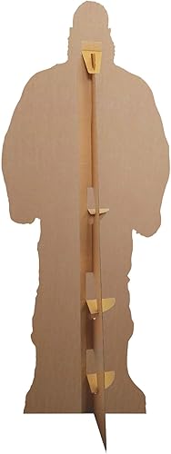 WWE Bayley SC4582 Lot de 3 étagères en Carton pour décoration de Chambre et événements sur Le thème de la WWE 31 cm - Nail Gallerys