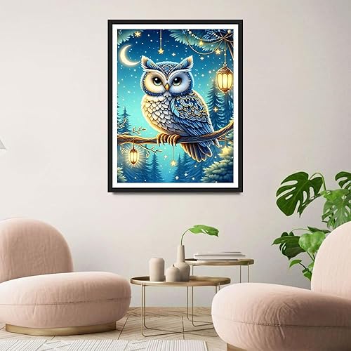 QINRUBB DIY Hibou Peinture Diamant Painting Kit, 5D Lanternes Art du Diamant Complet Kits, Nuit de Lune Diamond Art Kits Point de Croix Painting pour Adultes Débutants Maison Décor 30x40cm - Nail Gallerys
